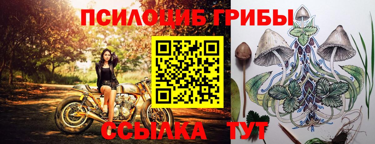 Псилоцибиновые грибы ЛСД Железногорск