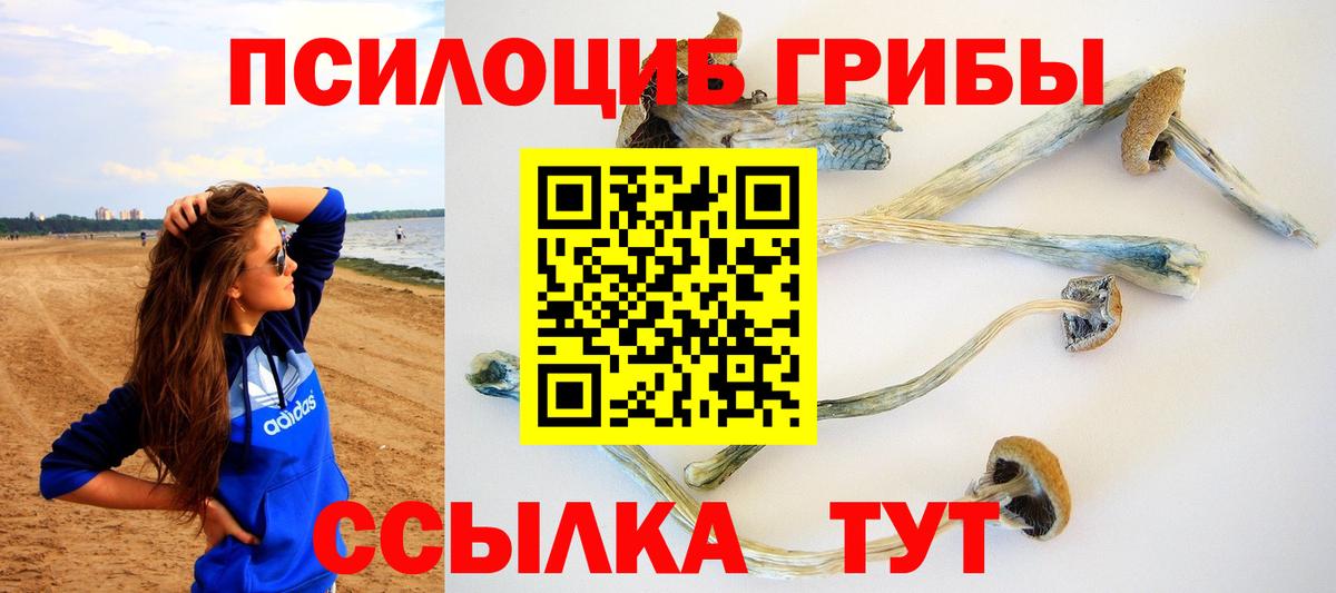 купить  сайты  Вход с VPN  Железногорск  Галлюциногенные грибы Psilocybine cubensis 